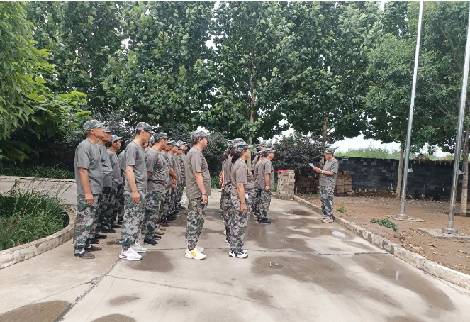 17198155471879980Jr2.png 1719815488823.png